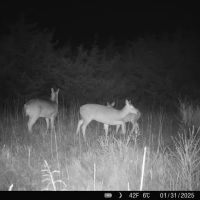 Nemaha 90 - Acres