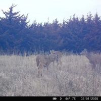 Nemaha 90 - Acres images 2