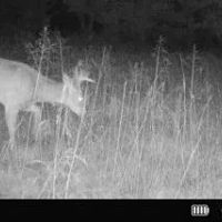 Nemaha 90 - Acres images 3