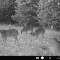 Nemaha 90 - Acres images 4