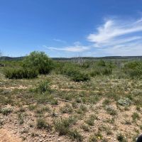New Listing 75 Acres Taylor County images 2