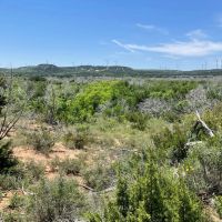 New Listing 75 Acres Taylor County images 3