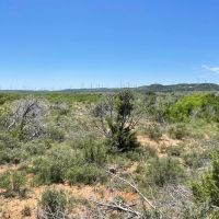 New Listing 75 Acres Taylor County images 4