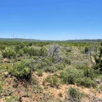 New Listing 75 Acres Taylor County images 5