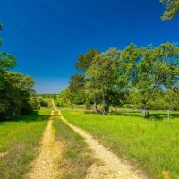 Ladera Ranch images 3