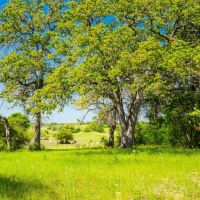 Ladera Ranch images 5