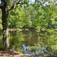 - 14.27 Acres on 3864 Lincoln Road Lot 3 in Gray Court SC images 1