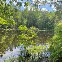 - 14.27 Acres on 3864 Lincoln Road Lot 3 in Gray Court SC images 2