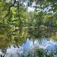 - 14.27 Acres on 3864 Lincoln Road Lot 3 in Gray Court SC images 3