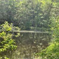 - 14.27 Acres on 3864 Lincoln Road Lot 3 in Gray Court SC images 4