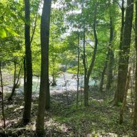 - 14.27 Acres on 3864 Lincoln Road Lot 3 in Gray Court SC images 5