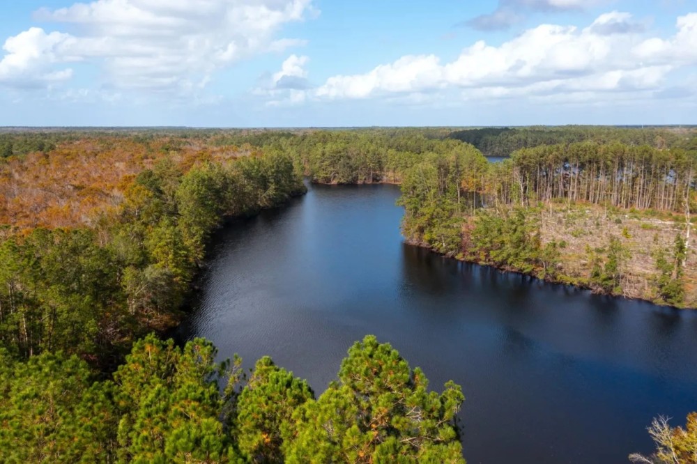 Ogeechee Refuge featured image
