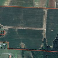 LA - Franklin 80 acres -