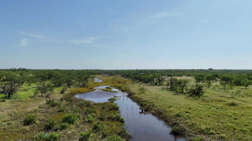 199 - Ac with 3 Cabins Mustang Creek Hunting Recreational Land featured image