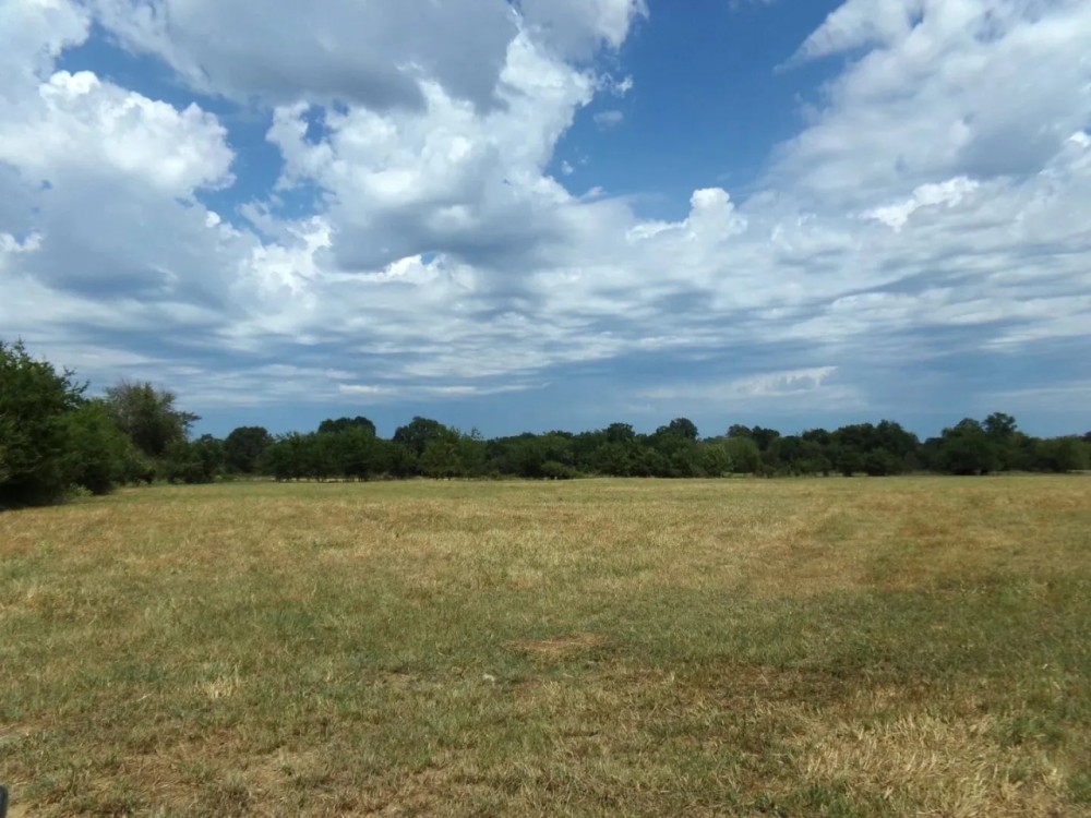 Ranch Land For Sale 231 Acres in Blossom TX NE TX featured image