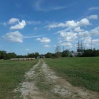 Ranch Land For Sale 231 Acres in Blossom TX NE TX images 2