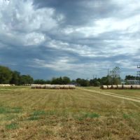 Ranch Land For Sale 231 Acres in Blossom TX NE TX images 3