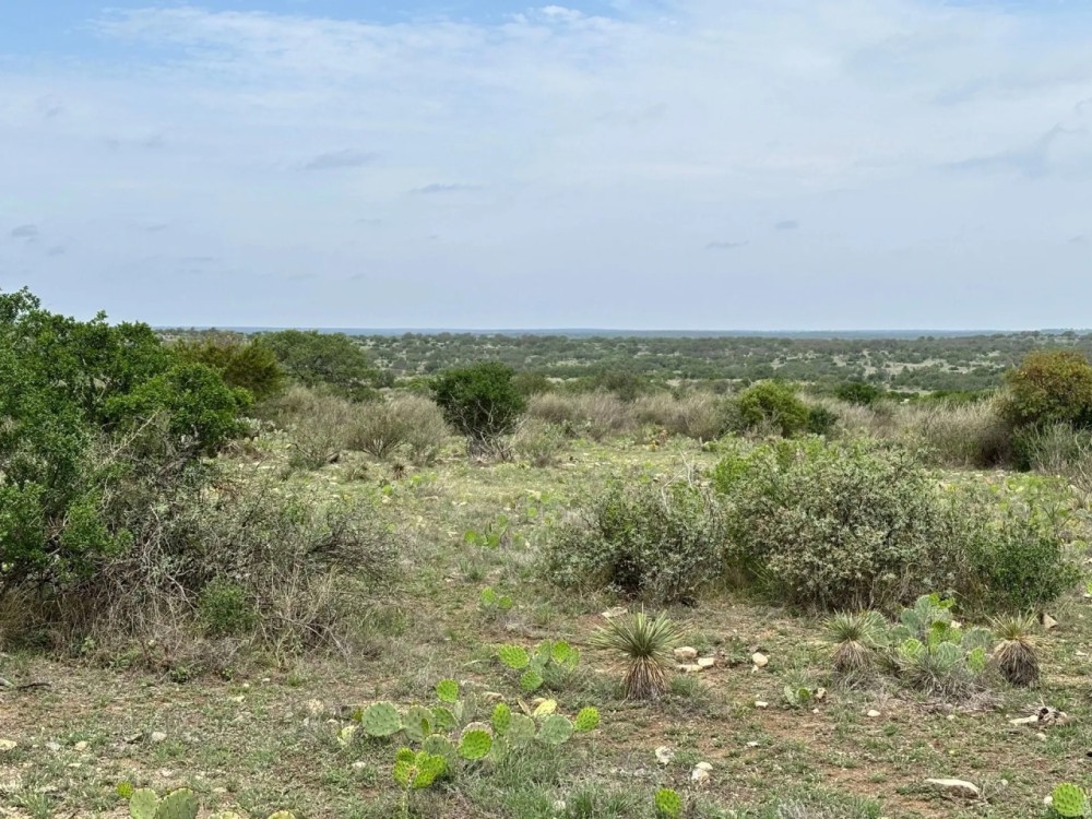 85 Acres McCulloch County featured image