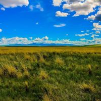 Little Muddy Creek Ranches images 5