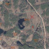 32 acres Hunting Land and Recreational Land with Ponds in Coxsackie NY Eagle Nest Rd images 5