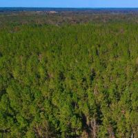 Patsaliga Creek Camp Hunting Timber Retreat images 3