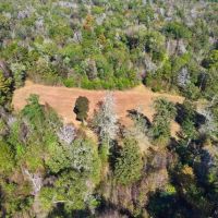 Patsaliga Creek Camp Hunting Timber Retreat images 5