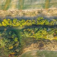 TBD Sawmill Pinckneyville IL images 3