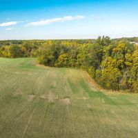 TBD Sawmill Pinckneyville IL images 4