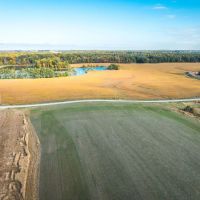 TBD Sawmill Pinckneyville IL images 5