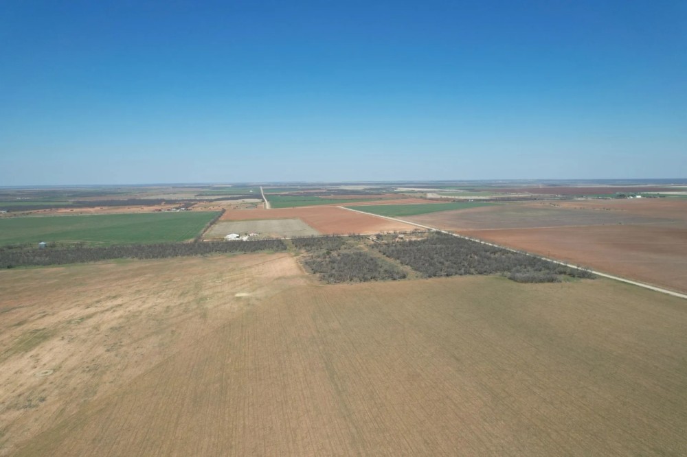 New Listing 154.9 - Acres Jones County featured image