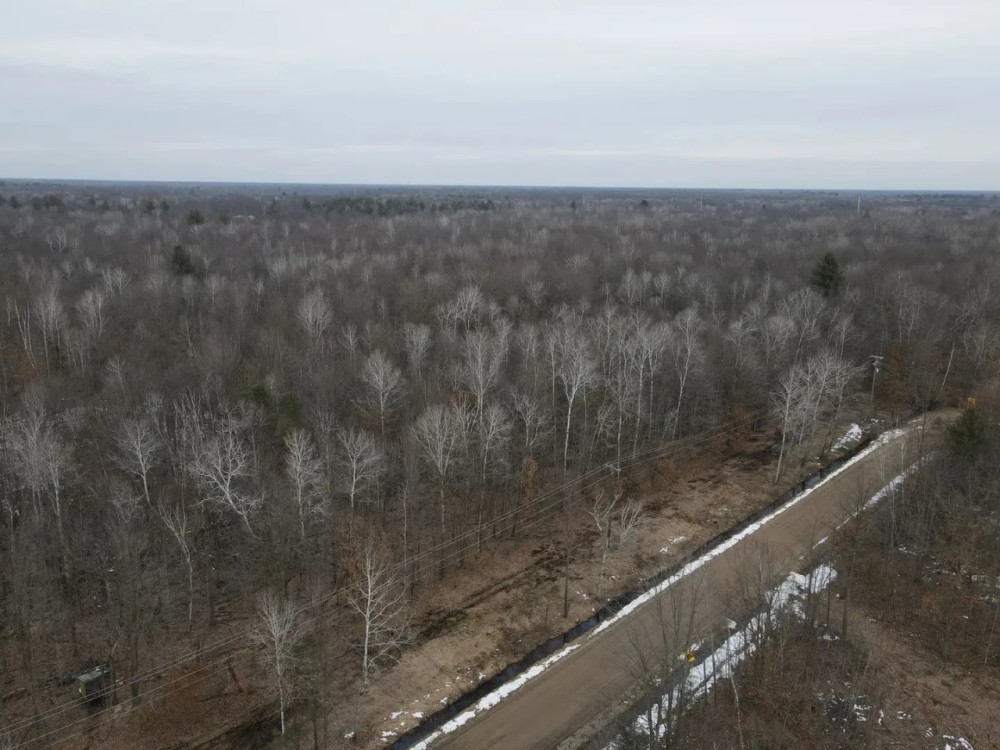 Michigan Hunting and Recreational Land for Sale featured image