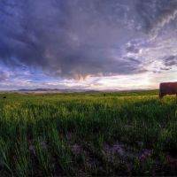 Copper City Ranch images 3
