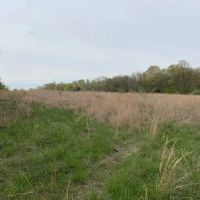 Nice smaller tract near Shawnee Forest