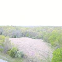 Nice smaller tract near Shawnee Forest images 2