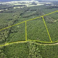 11 Acres T-45 Eliot images 2