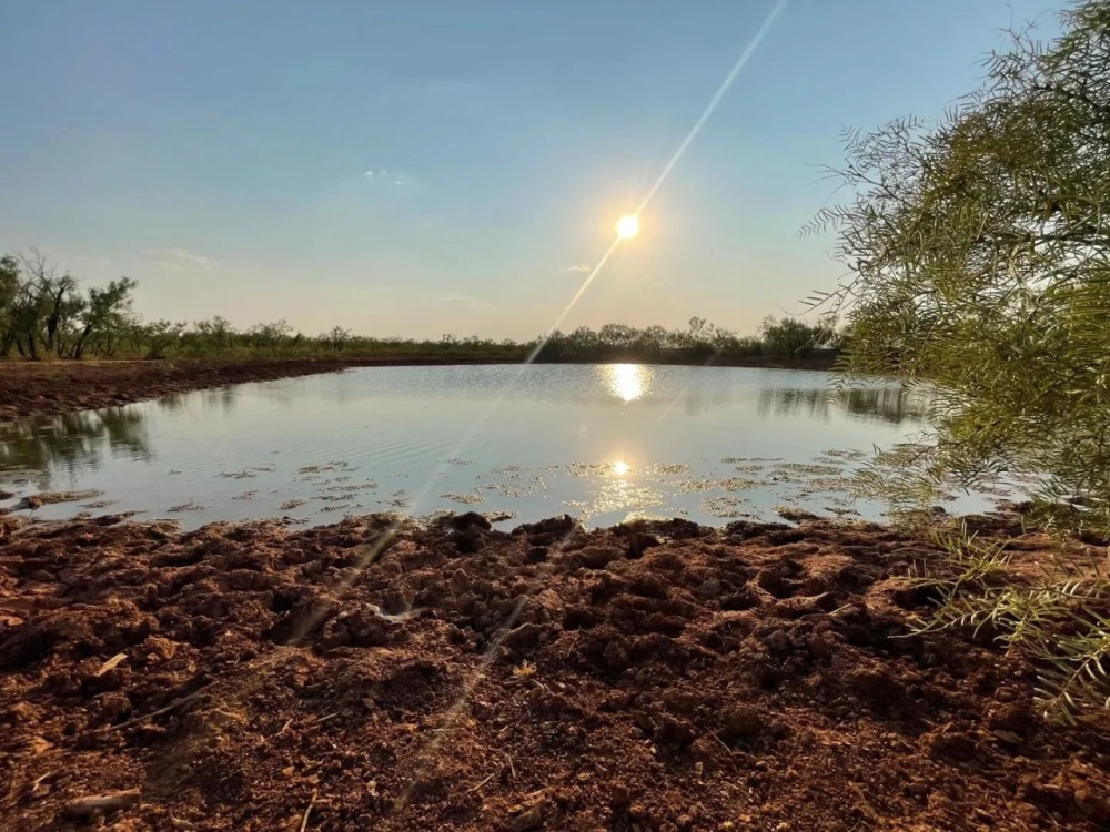 Back on the Market 317.64 Acres Jones County featured image