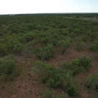 Back on the Market 317.64 Acres Jones County images 4
