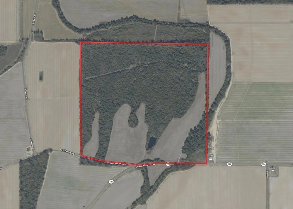 LA - West Carroll 160 acres - featured image