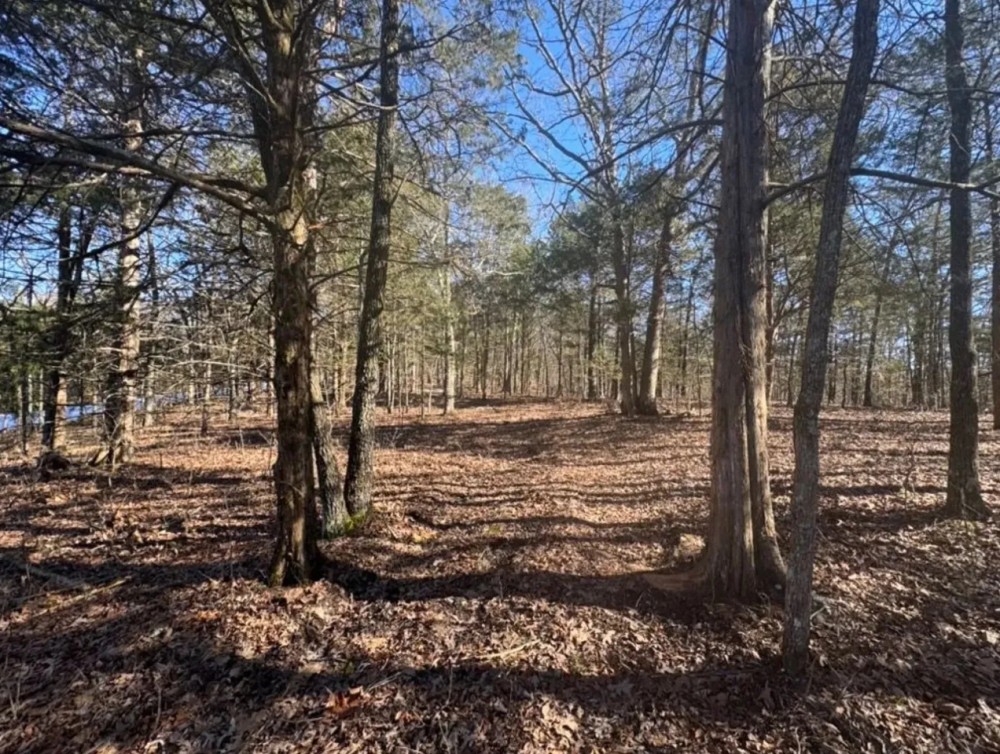 All Wooded Tract With Level County Road Frontage featured image