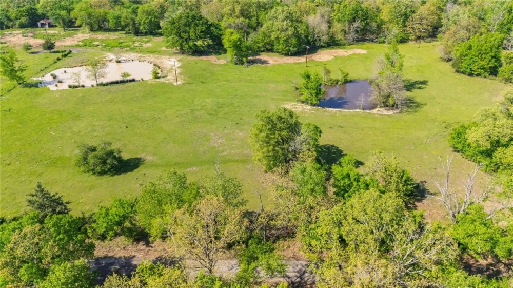 Partly Wooded 72 Acres with Ponds Barn Ag-Exemption featured image