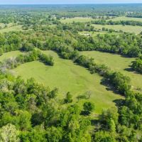 Partly Wooded 72 Acres with Ponds Barn Ag-Exemption images 5