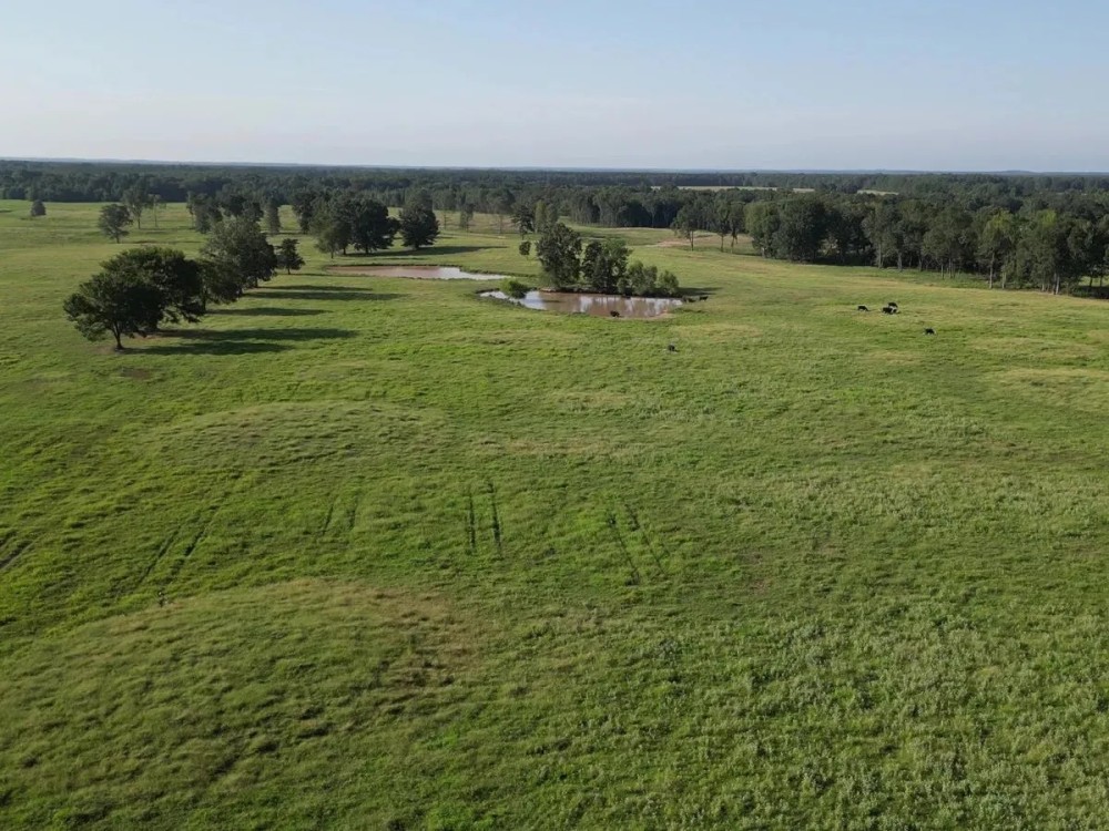 1075 Acres East Texas Cattle Ranch Bowie County TX featured image