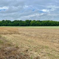 39 Acres in Dooly County GA
