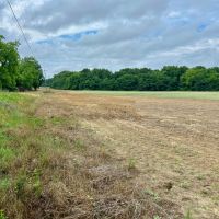39 Acres in Dooly County GA images 2