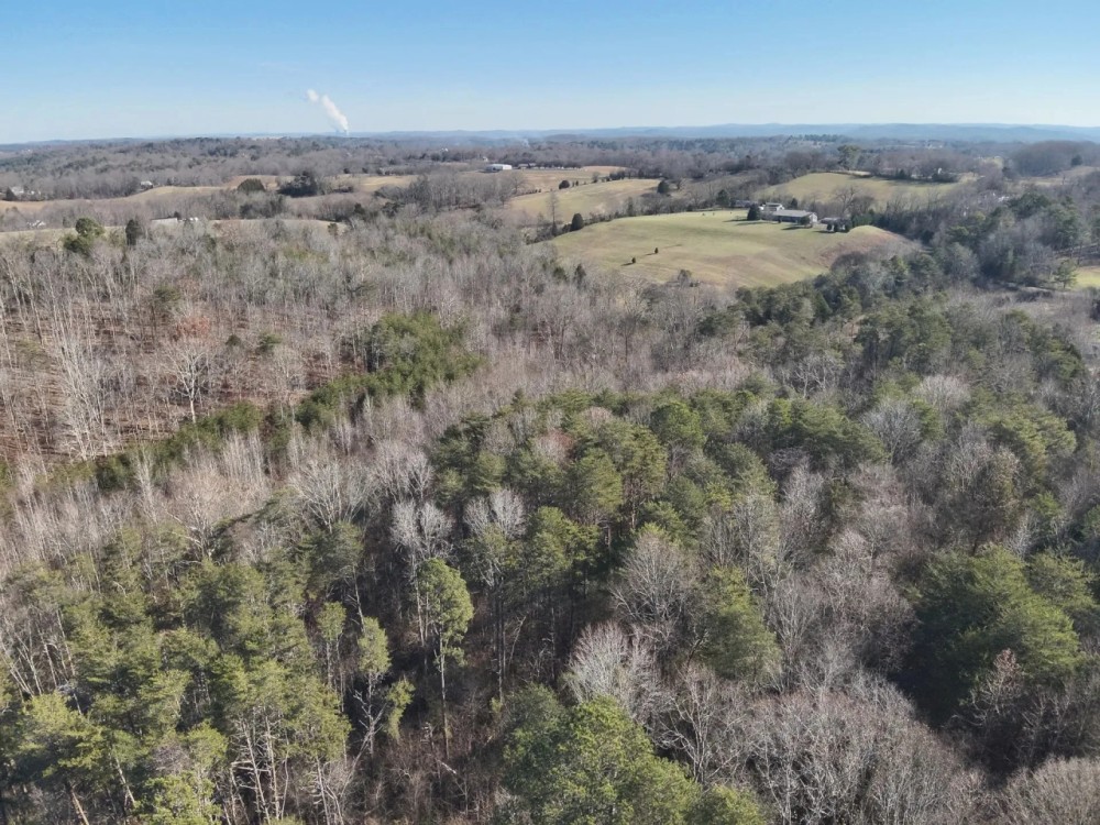 16.82 Acres in Rhea County TN featured image