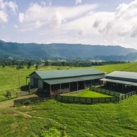 Stunning Cattle Ranch For Sale in Southwest VA images 4