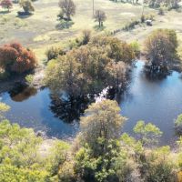 Back on Market 133.31 Acres Callahan County