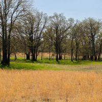 Ford 255 Acres images 2
