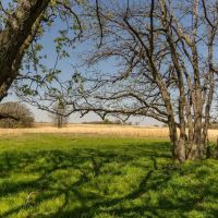 Ford 255 Acres images 4