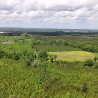 149 Acres in Choctaw County MS images 2